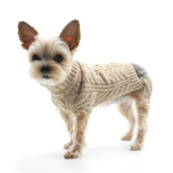 Cable Turtleneck Sweater Roxy & Lulu, wooflink, susan lanci, dog clothes, small dog clothes, urban pup, pooch outfitters, dogo, hip doggie, doggie design, small dog dress, pet clotes, dog boutique. pet boutique, bloomingtails dog boutique, dog raincoat, dog rain coat, pet raincoat, dog shampoo, pet shampoo, dog bathrobe, pet bathrobe, dog carrier, small dog carrier, doggie couture, pet couture, dog football, dog toys, pet toys, dog clothes sale, pet clothes sale, shop local, pet store, dog store, dog chews, pet chews, worthy dog, dog bandana, pet bandana, dog halloween, pet halloween, dog holiday, pet holiday, dog teepee, custom dog clothes, pet pjs, dog pjs, pet pajamas, dog pajamas,dog sweater, pet sweater, dog hat, fabdog, fab dog, dog puffer coat, dog winter ja