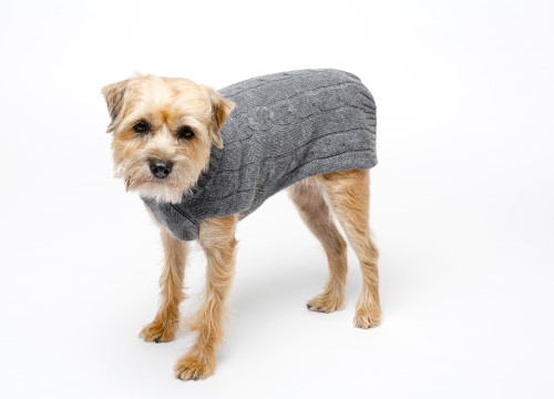Pure Cashmere Sweaters in Many Colors Roxy & Lulu, wooflink, susan lanci, dog clothes, small dog clothes, urban pup, pooch outfitters, dogo, hip doggie, doggie design, small dog dress, pet clotes, dog boutique. pet boutique, bloomingtails dog boutique, dog raincoat, dog rain coat, pet raincoat, dog shampoo, pet shampoo, dog bathrobe, pet bathrobe, dog carrier, small dog carrier, doggie couture, pet couture, dog football, dog toys, pet toys, dog clothes sale, pet clothes sale, shop local, pet store, dog store, dog chews, pet chews, worthy dog, dog bandana, pet bandana, dog halloween, pet halloween, dog holiday, pet holiday, dog teepee, custom dog clothes, pet pjs, dog pjs, pet pajamas, dog pajamas,dog sweater, pet sweater, dog hat, fabdog, fab dog, dog puffer coat, dog winter ja