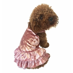 Crushin on YOU Velvet Tutu Dog Dress in 3 Colors wooflink, susan lanci, dog clothes, small dog clothes, urban pup, pooch outfitters, dogo, hip doggie, doggie design, small dog dress, pet clotes, dog boutique. pet boutique, bloomingtails dog boutique, dog raincoat, dog rain coat, pet raincoat, dog shampoo, pet shampoo, dog bathrobe, pet bathrobe, dog carrier, small dog carrier, doggie couture, pet couture, dog football, dog toys, pet toys, dog clothes sale, pet clothes sale, shop local, pet store, dog store, dog chews, pet chews, worthy dog, dog bandana, pet bandana, dog halloween, pet halloween, dog holiday, pet holiday, dog teepee, custom dog clothes, pet pjs, dog pjs, pet pajamas, dog pajamas,dog sweater, pet sweater, dog hat, fabdog, fab dog, dog puffer coat, dog winter jacket, dog col