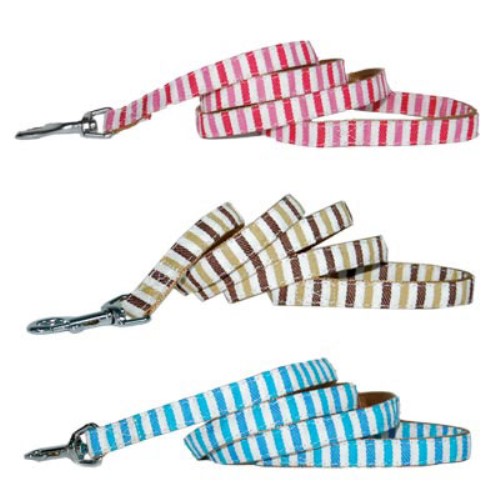 DG Classic Lead kosher, hanukkah, toy, jewish, toy, puppy bed,  beds,dog mat, pet mat, puppy mat, fab dog pet sweater, dog swepet clothes, dog clothes, puppy clothes, pet store, dog store, puppy boutique store, dog boutique, pet boutique, puppy boutique, Bloomingtails, dog, small dog clothes, large dog clothes, large dog costumes, small dog costumes, pet stuff, Halloween dog, puppy Halloween, pet Halloween, clothes, dog puppy Halloween, dog sale, pet sale, puppy sale, pet dog tank, pet tank, pet shirt, dog shirt, puppy shirt,puppy tank, I see spot, dog collars, dog leads, pet collar, pet lead,puppy collar, puppy lead, dog toys, pet toys, puppy toy, dog beds, pet beds, puppy bed,  beds,dog mat, pet mat, puppy mat, fab dog pet sweater, dog sweater, dog winte