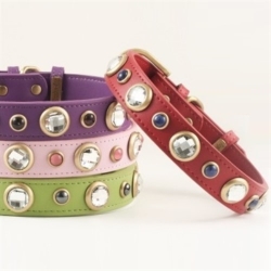 Diamond Collar & Lead Collection wooflink, susan lanci, dog clothes, small dog clothes, urban pup, pooch outfitters, dogo, hip doggie, doggie design, small dog dress, pet clotes, dog boutique. pet boutique, bloomingtails dog boutique, dog raincoat, dog rain coat, pet raincoat, dog shampoo, pet shampoo, dog bathrobe, pet bathrobe, dog carrier, small dog carrier, doggie couture, pet couture, dog football, dog toys, pet toys, dog clothes sale, pet clothes sale, shop local, pet store, dog store, dog chews, pet chews, worthy dog, dog bandana, pet bandana, dog halloween, pet halloween, dog holiday, pet holiday, dog teepee, custom dog clothes, pet pjs, dog pjs, pet pajamas, dog pajamas,dog sweater, pet sweater, dog hat, fabdog, fab dog, dog puffer coat, dog winter jacket, dog col