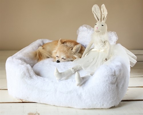 The Divine Bed in 6 Colors dog bowls,susan lanci, puppia,wooflink, luxury dog boutique,tonimari,pet clothes, dog clothes, puppy clothes, pet store, dog store, puppy boutique store, dog boutique, pet boutique, puppy boutique, Bloomingtails, dog, small dog clothes, large dog clothes, large dog costumes, small dog costumes, pet stuff, Halloween dog, puppy Halloween, pet Halloween, clothes, dog puppy Halloween, dog sale, pet sale, puppy sale, pet dog tank, pet tank, pet shirt, dog shirt, puppy shirt,puppy tank, I see spot, dog collars, dog leads, pet collar, pet lead,puppy collar, puppy lead, dog toys, pet toys, puppy toy, dog beds, pet beds, puppy bed,  beds,dog mat, pet mat, puppy mat, fab dog pet sweater, dog sweater, dog winter, pet winter,dog raincoat, pet raincoat,
