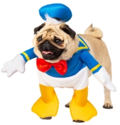 Authentic Donald Duck Costume wooflink, susan lanci, dog clothes, small dog clothes, urban pup, pooch outfitters, dogo, hip doggie, doggie design, small dog dress, pet clotes, dog boutique. pet boutique, bloomingtails dog boutique, dog raincoat, dog rain coat, pet raincoat, dog shampoo, pet shampoo, dog bathrobe, pet bathrobe, dog carrier, small dog carrier, doggie couture, pet couture, dog football, dog toys, pet toys, dog clothes sale, pet clothes sale, shop local, pet store, dog store, dog chews, pet chews, worthy dog, dog bandana, pet bandana, dog halloween, pet halloween, dog holiday, pet holiday, dog teepee, custom dog clothes, pet pjs, dog pjs, pet pajamas, dog pajamas,dog sweater, pet sweater, dog hat, fabdog, fab dog, dog puffer coat, dog winter jacket, dog col