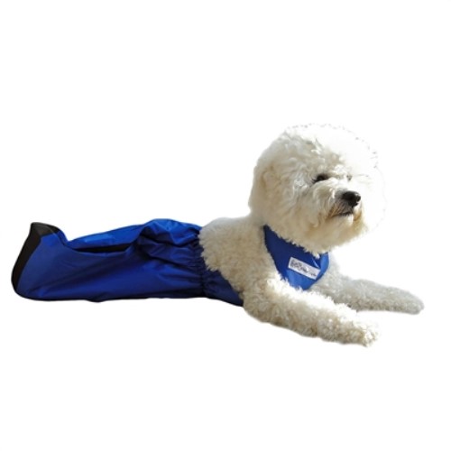Drag Bag for Pets wooflink, susan lanci, dog clothes, small dog clothes, urban pup, pooch outfitters, dogo, hip doggie, doggie design, small dog dress, pet clotes, dog boutique. pet boutique, bloomingtails dog boutique, dog raincoat, dog rain coat, pet raincoat, dog shampoo, pet shampoo, dog bathrobe, pet bathrobe, dog carrier, small dog carrier, doggie couture, pet couture, dog football, dog toys, pet toys, dog clothes sale, pet clothes sale, shop local, pet store, dog store, dog chews, pet chews, worthy dog, dog bandana, pet bandana, dog halloween, pet halloween, dog holiday, pet holiday, dog teepee, custom dog clothes, pet pjs, dog pjs, pet pajamas, dog pajamas,dog sweater, pet sweater, dog hat, fabdog, fab dog, dog puffer coat, dog winter jacket, dog col