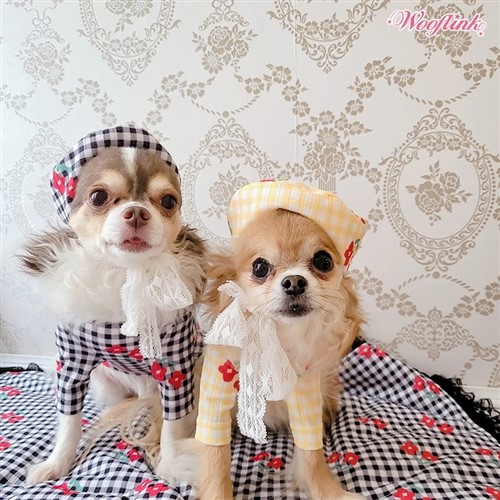Life Is Better With Flowers Beret wooflink,doggie design, dog clothes, pet clothes, bloomingtails dog boutique, dog shirt, dog pants, doggie couture, west paw, worthy dog, pet costumes, pet holiday wear, pet shoes, dog shoes, dog toys, pet toys, sale, dog sale, pet sale, pet store, dog store, small dog boutique, bowsers, pet supply, dog supply, dog beret, dog hat, dog bed, dog blanket, pet bed, pet blanket, dog leash, pet leash, dog harness, pet harness, pet collar, dog collar, embroidered collar, pet birthday, dog birthday, great dane clothing, pet clothing, dog clothing, dog costume, dog christmas, pet christmas, hello doggie, haute diggity dog, dog cupcake, dog cake, pet cake, pet cookies, free shipping, new dog clothes, small dog clothes, small dog store, pet store, dog