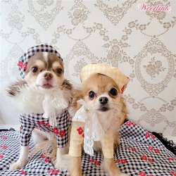 Life Is Better With Flowers Beret wooflink,doggie design, dog clothes, pet clothes, bloomingtails dog boutique, dog shirt, dog pants, doggie couture, west paw, worthy dog, pet costumes, pet holiday wear, pet shoes, dog shoes, dog toys, pet toys, sale, dog sale, pet sale, pet store, dog store, small dog boutique, bowsers, pet supply, dog supply, dog beret, dog hat, dog bed, dog blanket, pet bed, pet blanket, dog leash, pet leash, dog harness, pet harness, pet collar, dog collar, embroidered collar, pet birthday, dog birthday, great dane clothing, pet clothing, dog clothing, dog costume, dog christmas, pet christmas, hello doggie, haute diggity dog, dog cupcake, dog cake, pet cake, pet cookies, free shipping, new dog clothes, small dog clothes, small dog store, pet store, dog