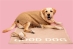 Good Dog Blanket - lb-blanket