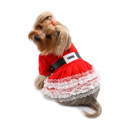 Lace & Ruffles Holiday Dress Roxy & Lulu, wooflink, susan lanci, dog clothes, small dog clothes, urban pup, pooch outfitters, dogo, hip doggie, doggie design, small dog dress, pet clotes, dog boutique. pet boutique, bloomingtails dog boutique, dog raincoat, dog rain coat, pet raincoat, dog shampoo, pet shampoo, dog bathrobe, pet bathrobe, dog carrier, small dog carrier, doggie couture, pet couture, dog football, dog toys, pet toys, dog clothes sale, pet clothes sale, shop local, pet store, dog store, dog chews, pet chews, worthy dog, dog bandana, pet bandana, dog halloween, pet halloween, dog holiday, pet holiday, dog teepee, custom dog clothes, pet pjs, dog pjs, pet pajamas, dog pajamas,dog sweater, pet sweater, dog hat, fabdog, fab dog, dog puffer coat, dog winter ja