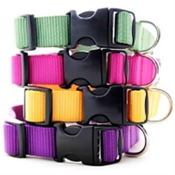 Nylon Webbing Collars & Leads-27 Colors dog bowls,susan lanci, puppia,wooflink, luxury dog boutique,tonimari,pet clothes, dog clothes, puppy clothes, pet store, dog store, puppy boutique store, dog boutique, pet boutique, puppy boutique, Bloomingtails, dog, small dog clothes, large dog clothes, large dog costumes, small dog costumes, pet stuff, Halloween dog, puppy Halloween, pet Halloween, clothes, dog puppy Halloween, dog sale, pet sale, puppy sale, pet dog tank, pet tank, pet shirt, dog shirt, puppy shirt,puppy tank, I see spot, dog collars, dog leads, pet collar, pet lead,puppy collar, puppy lead, dog toys, pet toys, puppy toy, dog beds, pet beds, puppy bed,  beds,dog mat, pet mat, puppy mat, fab dog pet sweater, dog sweater, dog winter, pet winter,dog raincoat, pet raincoat,