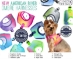 Ombre American River Choke Free Dog Harness - dd-ombre-harness