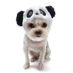Panda Dog Hat puppy bed,  beds,dog mat, pet mat, puppy mat, fab dog pet sweater, dog swepet clothes, dog clothes, puppy clothes, pet store, dog store, puppy boutique store, dog boutique, pet boutique, puppy boutique, Bloomingtails, dog, small dog clothes, large dog clothes, large dog costumes, small dog costumes, pet stuff, Halloween dog, puppy Halloween, pet Halloween, clothes, dog puppy Halloween, dog sale, pet sale, puppy sale, pet dog tank, pet tank, pet shirt, dog shirt, puppy shirt,puppy tank, I see spot, dog collars, dog leads, pet collar, pet lead,puppy collar, puppy lead, dog toys, pet toys, puppy toy, dog beds, pet beds, puppy bed,  beds,dog mat, pet mat, puppy mat, fab dog pet sweater, dog sweater, dog winter, pet winter,dog raincoat, pet rain