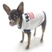 Patriotic Sweater by Oscar Newman - on-patrioticsw