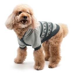 Pattern Sweater Coat  puppy bed,  beds,dog mat, pet mat, puppy mat, fab dog pet sweater, dog swepet clothes, dog clothes, puppy clothes, pet store, dog store, puppy boutique store, dog boutique, pet boutique, puppy boutique, Bloomingtails, dog, small dog clothes, large dog clothes, large dog costumes, small dog costumes, pet stuff, Halloween dog, puppy Halloween, pet Halloween, clothes, dog puppy Halloween, dog sale, pet sale, puppy sale, pet dog tank, pet tank, pet shirt, dog shirt, puppy shirt,puppy tank, I see spot, dog collars, dog leads, pet collar, pet lead,puppy collar, puppy lead, dog toys, pet toys, puppy toy, dog beds, pet beds, puppy bed,  beds,dog mat, pet mat, puppy mat, fab dog pet sweater, dog sweater, dog winter, pet winter,dog raincoat, pet rain