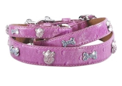 Paws & Bones House of Dog Collar kosher, hanukkah, toy, jewish, toy, puppy bed,  beds,dog mat, pet mat, puppy mat, fab dog pet sweater, dog swepet clothes, dog clothes, puppy clothes, pet store, dog store, puppy boutique store, dog boutique, pet boutique, puppy boutique, Bloomingtails, dog, small dog clothes, large dog clothes, large dog costumes, small dog costumes, pet stuff, Halloween dog, puppy Halloween, pet Halloween, clothes, dog puppy Halloween, dog sale, pet sale, puppy sale, pet dog tank, pet tank, pet shirt, dog shirt, puppy shirt,puppy tank, I see spot, dog collars, dog leads, pet collar, pet lead,puppy collar, puppy lead, dog toys, pet toys, puppy toy, dog beds, pet beds, puppy bed,  beds,dog mat, pet mat, puppy mat, fab dog pet sweater, dog sweater, dog winte