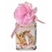 Pupcake Perfume in 12 Fragrances - dsq-pupcake