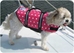 Pink Polka Dot Dog Life Jacket - pa-pinkpolka