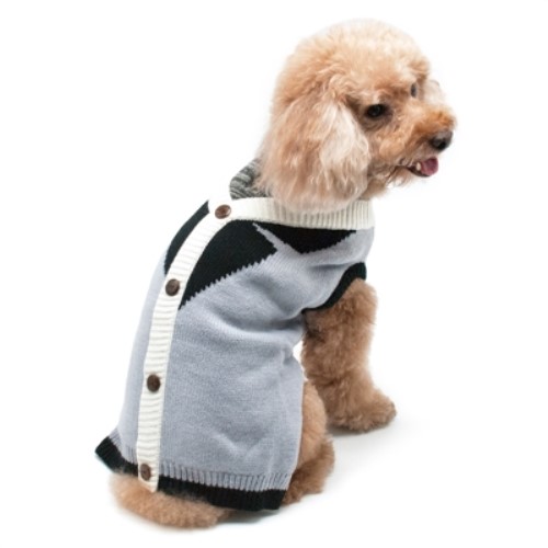 Professor Cardigan  puppy bed,  beds,dog mat, pet mat, puppy mat, fab dog pet sweater, dog swepet clothes, dog clothes, puppy clothes, pet store, dog store, puppy boutique store, dog boutique, pet boutique, puppy boutique, Bloomingtails, dog, small dog clothes, large dog clothes, large dog costumes, small dog costumes, pet stuff, Halloween dog, puppy Halloween, pet Halloween, clothes, dog puppy Halloween, dog sale, pet sale, puppy sale, pet dog tank, pet tank, pet shirt, dog shirt, puppy shirt,puppy tank, I see spot, dog collars, dog leads, pet collar, pet lead,puppy collar, puppy lead, dog toys, pet toys, puppy toy, dog beds, pet beds, puppy bed,  beds,dog mat, pet mat, puppy mat, fab dog pet sweater, dog sweater, dog winter, pet winter,dog raincoat, pet rain