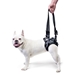 Rear Lift Dog Harness - wp-rearlift