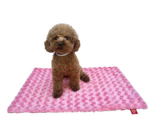 Rosebud Blankets in an Array of Colors Roxy & Lulu, wooflink, susan lanci, dog clothes, small dog clothes, urban pup, pooch outfitters, dogo, hip doggie, doggie design, small dog dress, pet clotes, dog boutique. pet boutique, bloomingtails dog boutique, dog raincoat, dog rain coat, pet raincoat, dog shampoo, pet shampoo, dog bathrobe, pet bathrobe, dog carrier, small dog carrier, doggie couture, pet couture, dog football, dog toys, pet toys, dog clothes sale, pet clothes sale, shop local, pet store, dog store, dog chews, pet chews, worthy dog, dog bandana, pet bandana, dog halloween, pet halloween, dog holiday, pet holiday, dog teepee, custom dog clothes, pet pjs, dog pjs, pet pajamas, dog pajamas,dog sweater, pet sweater, dog hat, fabdog, fab dog, dog puffer coat, dog winter ja