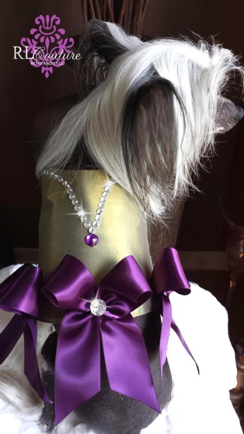 Royal Gem Harness Dress Roxy & Lulu, wooflink, susan lanci, dog clothes, small dog clothes, urban pup, pooch outfitters, dogo, hip doggie, doggie design, small dog dress, pet clotes, dog boutique. pet boutique, bloomingtails dog boutique, dog raincoat, dog rain coat, pet raincoat, dog shampoo, pet shampoo, dog bathrobe, pet bathrobe, dog carrier, small dog carrier, doggie couture, pet couture, dog football, dog toys, pet toys, dog clothes sale, pet clothes sale, shop local, pet store, dog store, dog chews, pet chews, worthy dog, dog bandana, pet bandana, dog halloween, pet halloween, dog holiday, pet holiday, dog teepee, custom dog clothes, pet pjs, dog pjs, pet pajamas, dog pajamas,dog sweater, pet sweater, dog hat, fabdog, fab dog, dog puffer coat, dog winter ja