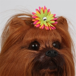 Susan Lanci Sea Urchin Hair Bow Roxy & Lulu, wooflink, susan lanci, dog clothes, small dog clothes, urban pup, pooch outfitters, dogo, hip doggie, doggie design, small dog dress, pet clotes, dog boutique. pet boutique, bloomingtails dog boutique, dog raincoat, dog rain coat, pet raincoat, dog shampoo, pet shampoo, dog bathrobe, pet bathrobe, dog carrier, small dog carrier, doggie couture, pet couture, dog football, dog toys, pet toys, dog clothes sale, pet clothes sale, shop local, pet store, dog store, dog chews, pet chews, worthy dog, dog bandana, pet bandana, dog halloween, pet halloween, dog holiday, pet holiday, dog teepee, custom dog clothes, pet pjs, dog pjs, pet pajamas, dog pajamas,dog sweater, pet sweater, dog hat, fabdog, fab dog, dog puffer coat, dog winter ja