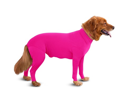 Shed Defender Onesie in 6 Colors Roxy & Lulu, wooflink, susan lanci, dog clothes, small dog clothes, urban pup, pooch outfitters, dogo, hip doggie, doggie design, small dog dress, pet clotes, dog boutique. pet boutique, bloomingtails dog boutique, dog raincoat, dog rain coat, pet raincoat, dog shampoo, pet shampoo, dog bathrobe, pet bathrobe, dog carrier, small dog carrier, doggie couture, pet couture, dog football, dog toys, pet toys, dog clothes sale, pet clothes sale, shop local, pet store, dog store, dog chews, pet chews, worthy dog, dog bandana, pet bandana, dog halloween, pet halloween, dog holiday, pet holiday, dog teepee, custom dog clothes, pet pjs, dog pjs, pet pajamas, dog pajamas,dog sweater, pet sweater, dog hat, fabdog, fab dog, dog puffer coat, dog winter ja
