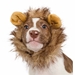 Lion Mane Costume for Small Dogs - pk-smlion