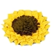 Sunflower Snuffle Mat - in-sunflowermat