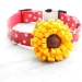 Sunflower Dog Collar Flower - mg-sunflower