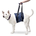 Dog Support Sling - wp-sling