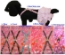 Dog Suspenders - Camo - pam-suspendersC-AAS