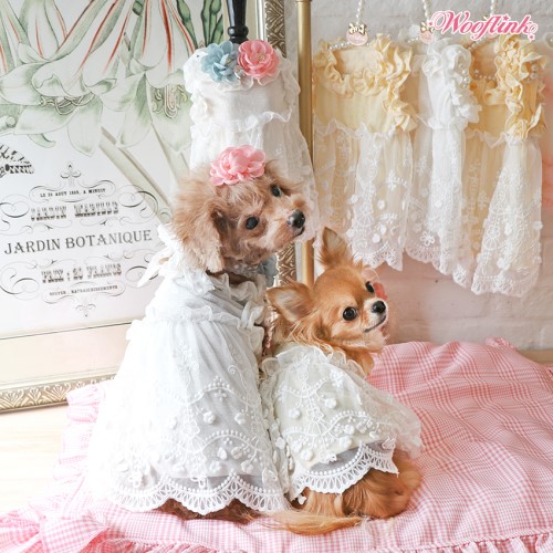 Sweet Dreamer Dress  dog bowls,susan lanci, puppia,wooflink, luxury dog boutique,tonimari,pet clothes, dog clothes, puppy clothes, pet store, dog store, puppy boutique store, dog boutique, pet boutique, puppy boutique, Bloomingtails, dog, small dog clothes, large dog clothes, large dog costumes, small dog costumes, pet stuff, Halloween dog, puppy Halloween, pet Halloween, clothes, dog puppy Halloween, dog sale, pet sale, puppy sale, pet dog tank, pet tank, pet shirt, dog shirt, puppy shirt,puppy tank, I see spot, dog collars, dog leads, pet collar, pet lead,puppy collar, puppy lead, dog toys, pet toys, puppy toy, dog beds, pet beds, puppy bed,  beds,dog mat, pet mat, puppy mat, fab dog pet sweater, dog sweater, dog winter, pet winter,dog raincoat, pet raincoat