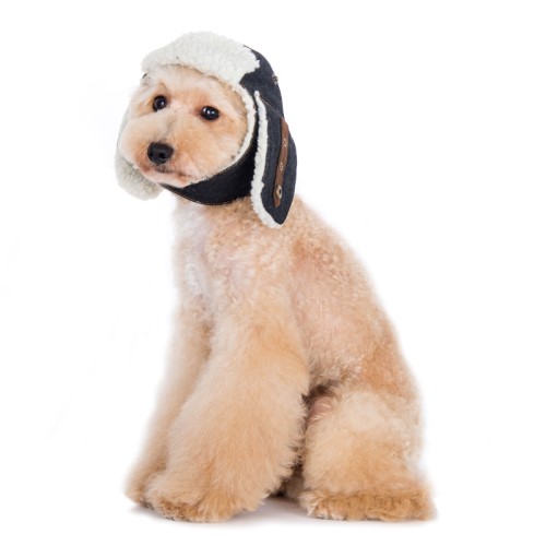 Trapper Hat Roxy & Lulu, wooflink, susan lanci, dog clothes, small dog clothes, urban pup, pooch outfitters, dogo, hip doggie, doggie design, small dog dress, pet clotes, dog boutique. pet boutique, bloomingtails dog boutique, dog raincoat, dog rain coat, pet raincoat, dog shampoo, pet shampoo, dog bathrobe, pet bathrobe, dog carrier, small dog carrier, doggie couture, pet couture, dog football, dog toys, pet toys, dog clothes sale, pet clothes sale, shop local, pet store, dog store, dog chews, pet chews, worthy dog, dog bandana, pet bandana, dog halloween, pet halloween, dog holiday, pet holiday, dog teepee, custom dog clothes, pet pjs, dog pjs, pet pajamas, dog pajamas,dog sweater, pet sweater, dog hat, fabdog, fab dog, dog puffer coat, dog winter ja