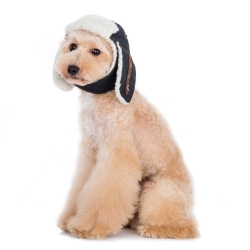 Trapper Hat Roxy & Lulu, wooflink, susan lanci, dog clothes, small dog clothes, urban pup, pooch outfitters, dogo, hip doggie, doggie design, small dog dress, pet clotes, dog boutique. pet boutique, bloomingtails dog boutique, dog raincoat, dog rain coat, pet raincoat, dog shampoo, pet shampoo, dog bathrobe, pet bathrobe, dog carrier, small dog carrier, doggie couture, pet couture, dog football, dog toys, pet toys, dog clothes sale, pet clothes sale, shop local, pet store, dog store, dog chews, pet chews, worthy dog, dog bandana, pet bandana, dog halloween, pet halloween, dog holiday, pet holiday, dog teepee, custom dog clothes, pet pjs, dog pjs, pet pajamas, dog pajamas,dog sweater, pet sweater, dog hat, fabdog, fab dog, dog puffer coat, dog winter ja