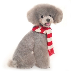 Urban Striped Dog Scarf in Various Colors Roxy & Lulu, wooflink, susan lanci, dog clothes, small dog clothes, urban pup, pooch outfitters, dogo, hip doggie, doggie design, small dog dress, pet clotes, dog boutique. pet boutique, bloomingtails dog boutique, dog raincoat, dog rain coat, pet raincoat, dog shampoo, pet shampoo, dog bathrobe, pet bathrobe, dog carrier, small dog carrier, doggie couture, pet couture, dog football, dog toys, pet toys, dog clothes sale, pet clothes sale, shop local, pet store, dog store, dog chews, pet chews, worthy dog, dog bandana, pet bandana, dog halloween, pet halloween, dog holiday, pet holiday, dog teepee, custom dog clothes, pet pjs, dog pjs, pet pajamas, dog pajamas,dog sweater, pet sweater, dog hat, fabdog, fab dog, dog puffer coat, dog winter ja