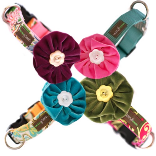 Velvet Collar Bows in 8 Vibrant Colors Roxy & Lulu, wooflink, susan lanci, dog clothes, small dog clothes, urban pup, pooch outfitters, dogo, hip doggie, doggie design, small dog dress, pet clotes, dog boutique. pet boutique, bloomingtails dog boutique, dog raincoat, dog rain coat, pet raincoat, dog shampoo, pet shampoo, dog bathrobe, pet bathrobe, dog carrier, small dog carrier, doggie couture, pet couture, dog football, dog toys, pet toys, dog clothes sale, pet clothes sale, shop local, pet store, dog store, dog chews, pet chews, worthy dog, dog bandana, pet bandana, dog halloween, pet halloween, dog holiday, pet holiday, dog teepee, custom dog clothes, pet pjs, dog pjs, pet pajamas, dog pajamas,dog sweater, pet sweater, dog hat, fabdog, fab dog, dog puffer coat, dog winter ja