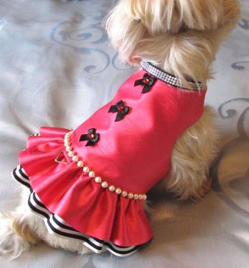 Flamenco rose dog dress