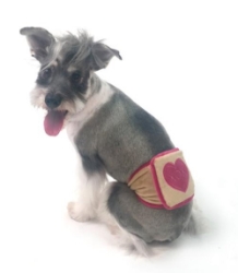 XOXO Belly Band  dog bowls,susan lanci, puppia,wooflink, luxury dog boutique,tonimari,pet clothes, dog clothes, puppy clothes, pet store, dog store, puppy boutique store, dog boutique, pet boutique, puppy boutique, Bloomingtails, dog, small dog clothes, large dog clothes, large dog costumes, small dog costumes, pet stuff, Halloween dog, puppy Halloween, pet Halloween, clothes, dog puppy Halloween, dog sale, pet sale, puppy sale, pet dog tank, pet tank, pet shirt, dog shirt, puppy shirt,puppy tank, I see spot, dog collars, dog leads, pet collar, pet lead,puppy collar, puppy lead, dog toys, pet toys, puppy toy, dog beds, pet beds, puppy bed,  beds,dog mat, pet mat, puppy mat, fab dog pet sweater, dog sweater, dog winter, pet winter,dog raincoat, pet raincoat