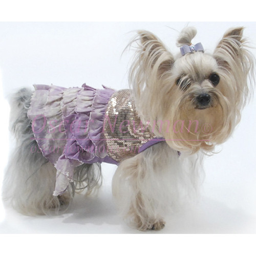 Bling it on Sequins Dress wooflink, susan lanci, dog clothes, small dog clothes, urban pup, pooch outfitters, dogo, hip doggie, doggie design, small dog dress, pet clotes, dog boutique. pet boutique, bloomingtails dog boutique, dog raincoat, dog rain coat, pet raincoat, dog shampoo, pet shampoo, dog bathrobe, pet bathrobe, dog carrier, small dog carrier, doggie couture, pet couture, dog football, dog toys, pet toys, dog clothes sale, pet clothes sale, shop local, pet store, dog store, dog chews, pet chews, worthy dog, dog bandana, pet bandana, dog halloween, pet halloween, dog holiday, pet holiday, dog teepee, custom dog clothes, pet pjs, dog pjs, pet pajamas, dog pajamas,dog sweater, pet sweater, dog hat, fabdog, fab dog, dog puffer coat, dog winter jacket, dog col