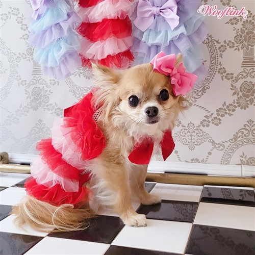 Daydream Dress by Wooflink Roxy & Lulu, wooflink, susan lanci, dog clothes, small dog clothes, airbuggy, pooch outfitters, dogo, hip doggie, doggie design, small dog dress, pet clotes, dog boutique. pet boutique, bloomingtails dog boutique, dog raincoat, dog rain coat, pet raincoat, dog shampoo, pet shampoo, dog bathrobe, pet bathrobe, dog carrier, small dog carrier, doggie couture, pet couture, dog football, dog toys, pet toys, dog clothes sale, pet clothes sale, shop local, pet store, dog store, dog chews, pet chews, worthy dog, dog bandana, pet bandana, dog halloween, pet halloween, dog holiday, pet holiday, dog teepee, custom dog clothes, pet pjs, dog pjs, pet pajamas, dog pajamas,dog sweater, pet sweater, dog hat, fabdog, fab dog, dog puffer coat, dog winter ja
