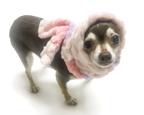 Heartwarming Head Scarf by Oscar Newman Roxy & Lulu, wooflink, susan lanci, dog clothes, small dog clothes, urban pup, pooch outfitters, dogo, hip doggie, doggie design, small dog dress, pet clotes, dog boutique. pet boutique, bloomingtails dog boutique, dog raincoat, dog rain coat, pet raincoat, dog shampoo, pet shampoo, dog bathrobe, pet bathrobe, dog carrier, small dog carrier, doggie couture, pet couture, dog football, dog toys, pet toys, dog clothes sale, pet clothes sale, shop local, pet store, dog store, dog chews, pet chews, worthy dog, dog bandana, pet bandana, dog halloween, pet halloween, dog holiday, pet holiday, dog teepee, custom dog clothes, pet pjs, dog pjs, pet pajamas, dog pajamas,dog sweater, pet sweater, dog hat, fabdog, fab dog, dog puffer coat, dog winter ja