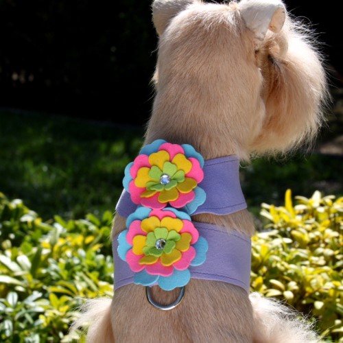 Tinkie Fantasy Flower Harness by Susan Lanci in 4 Colors wooflink, susan lanci, dog clothes, small dog clothes, urban pup, pooch outfitters, dogo, hip doggie, doggie design, small dog dress, pet clotes, dog boutique. pet boutique, bloomingtails dog boutique, dog raincoat, dog rain coat, pet raincoat, dog shampoo, pet shampoo, dog bathrobe, pet bathrobe, dog carrier, small dog carrier, doggie couture, pet couture, dog football, dog toys, pet toys, dog clothes sale, pet clothes sale, shop local, pet store, dog store, dog chews, pet chews, worthy dog, dog bandana, pet bandana, dog halloween, pet halloween, dog holiday, pet holiday, dog teepee, custom dog clothes, pet pjs, dog pjs, pet pajamas, dog pajamas,dog sweater, pet sweater, dog hat, fabdog, fab dog, dog puffer coat, dog winter jacket, dog col